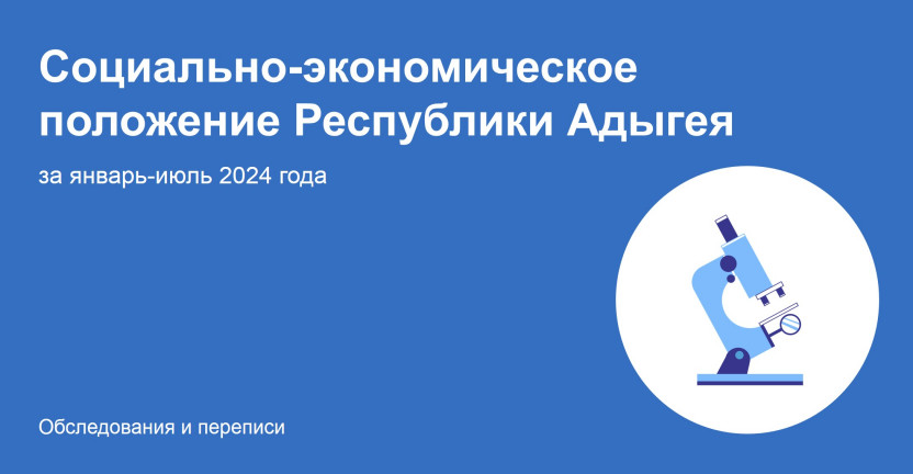 Социально-экономическое положение Республики Адыгея за январь-июль 2024 года